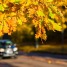 A Little Auto Care to Get Ready for Autumn